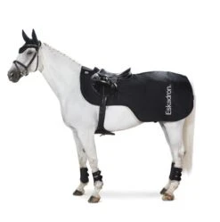 Eskadron Softshell Exercise Sheet