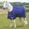 Shires Highlander Original 100 Turnout Rug