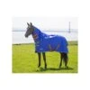 Shires Tempest Original 50 Combo Turnout Rug