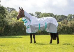 Shires Tempest Original Summer Shield With Mesh