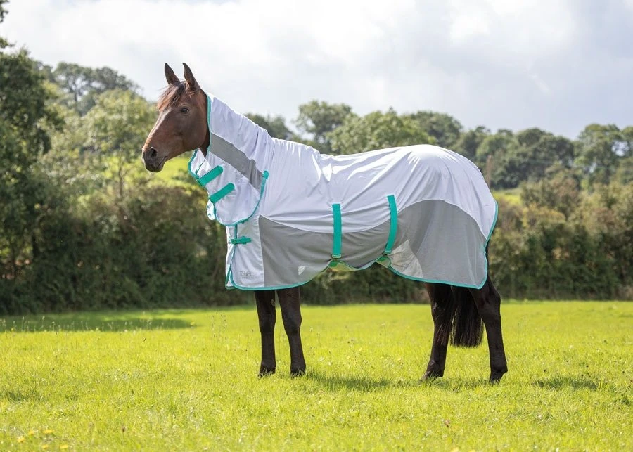 Shires Tempest Original Summer Shield With Mesh 1 Shires Tempest Original Summer Shield With Mesh