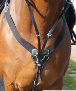 Whitaker Eastwood V-Check Breastplate