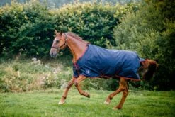 Equisential Turnout - Medium -Fournitures Équestres Ds5dp9Ni