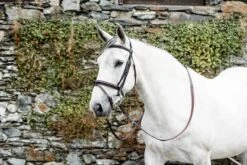 Mackey Classic Padded Flash Bridle