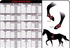 Zandona Therapeutic Support Boots Front -Fournitures Équestres Image3 20