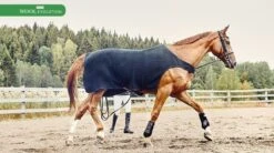 Kingsland Wool Evolution Exercise Rug
