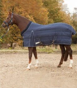 Waldhausen Walhausen Comfort Line Stable Rug 300g