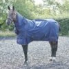 Whitaker Rastrick Combo Turnout Rug - 250g