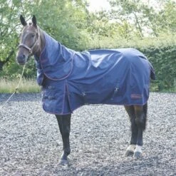 Whitaker Rastrick Combo Turnout Rug - 250g