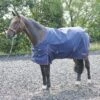 Whitaker Rastrick Turnout Rug - 200g