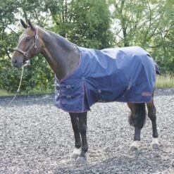 Whitaker Rastrick Turnout Rug - 200g