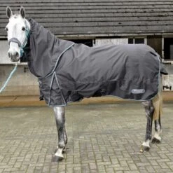 Whitaker Ottowa Combo Turnout Rug - 300g -Fournitures Équestres R196 650x650 1