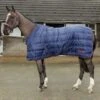 Whitaker Rastrick Stable Rug - 200g