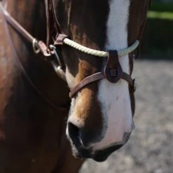 Whitaker Rope Noseband