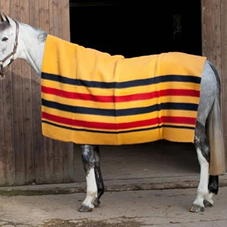 Shires Newmarket Blanket 2 Shires Newmarket Blanket – Image 2