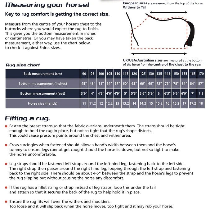 Shires Continental Pattern Exercise Sheet 3 Shires Continental Pattern Exercise Sheet – Image 3