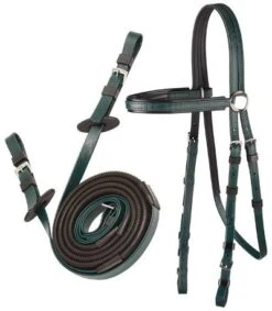 Zilco Stainless Steel Race Bridle & Rein Sets -Fournitures Équestres SMALLDRAKGREEN