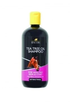 Devant -Fournitures Équestres SMALLL 293