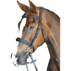 Collegiate Mono Crown Padded Raised Cavesson Bridle -Fournitures Équestres SMALLLLBROWN