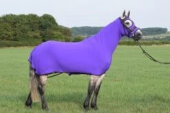 Belvoir Rug Company Honsie Life -Fournitures Équestres SMALLLVIOLET