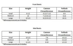 Veredus Young Jump Vento Boot -Fournitures Équestres VeredusPiaffeRevolutionSizing 01