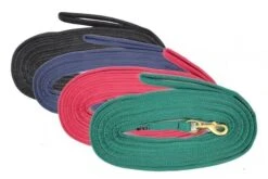 Equisential Padded Lunge Rein