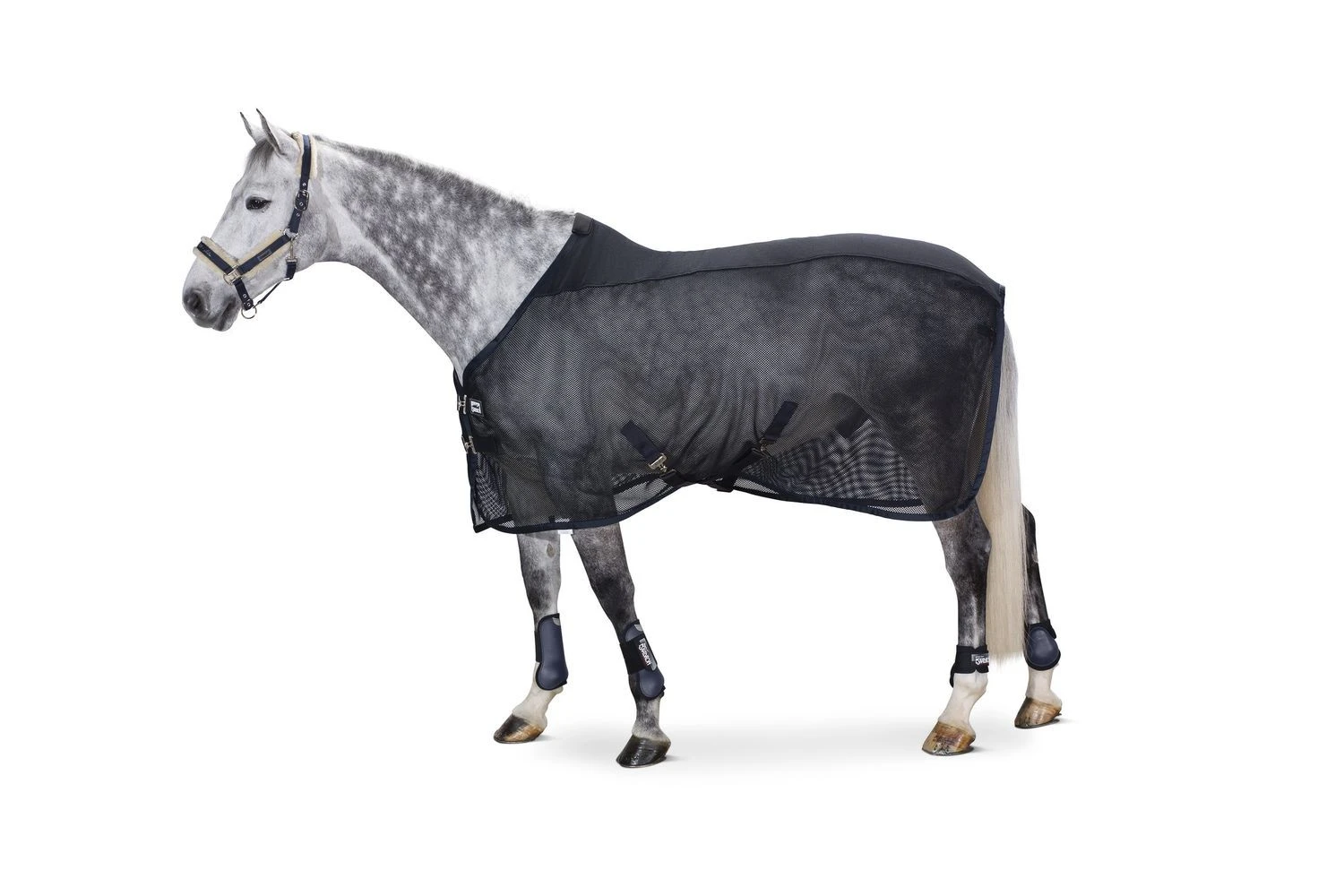 Eskadron Fly Rug Pro Cover Dura 1 Eskadron Fly Rug Pro Cover Dura