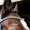 EcoRider Freedom Juliette Browband