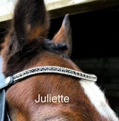 EcoRider Freedom Juliette Browband