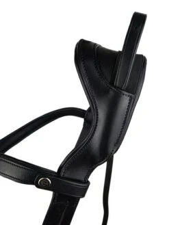 EcoRider Freedom Headpiece