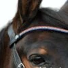 EcoRider Freedom Victoria Browband