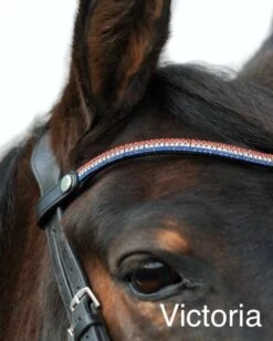 EcoRider Freedom Victoria Browband