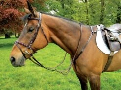 Celtic Hunting Breastplate Martingale - Brass