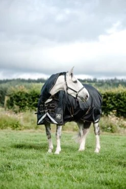 Mackey Lugnaquilla Plus Rug