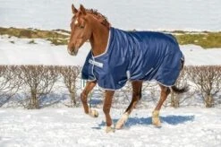 Bucas Freedom Turnout High Neck Rug 150g 6 Bucas Freedom Turnout High Neck Rug 150g -Fournitures Équestres image 04