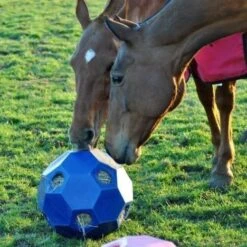 Parallax Hay Play -Fournitures Équestres init image 146