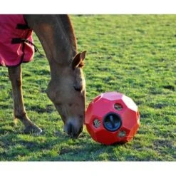 Parallax Hay Play -Fournitures Équestres init image 147