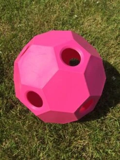 Parallax Hay Play -Fournitures Équestres init image 148