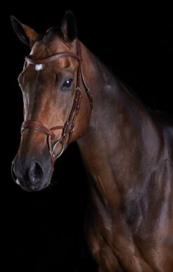 Collegiate Comfitec Training Bridle
