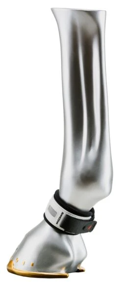 Zandona Superior Air Pastern Wrap -Fournitures Équestres init image 276