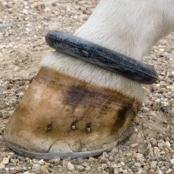 Shires Fetlock Ring