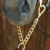 Celtic Equine Brass Newmarket Chain