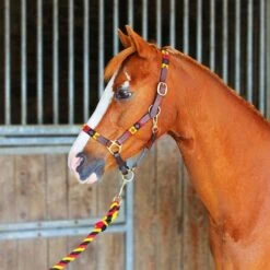 Chukka Leather Headcollar & Leadrope