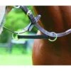 Shires Irish Martingale
