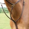 Shires Salisbury Running Martingale