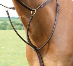 Shires Salisbury Running Martingale