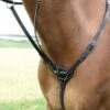Shires Three Point Breastplate