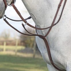 Shires Avignon Running Martingale