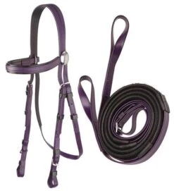 Zilco Stainless Steel Race Bridle & Rein Sets -Fournitures Équestres init image 523