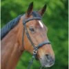 Waldhausen Star Bridle - Bitless